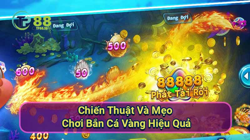Bắn Cá Vàng: Chiến Thuật & Mẹo Chơi Hiệu Quả 2 chien-thuat-va-meo-choi-ban-ca-vang-hieu-qua
