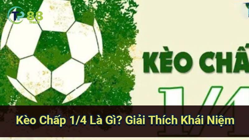 Kèo Chấp 1/4 là gì? Giải thích chi tiết 2 keo-chap-1-4-la-gi?-giai-thich-khai-niem