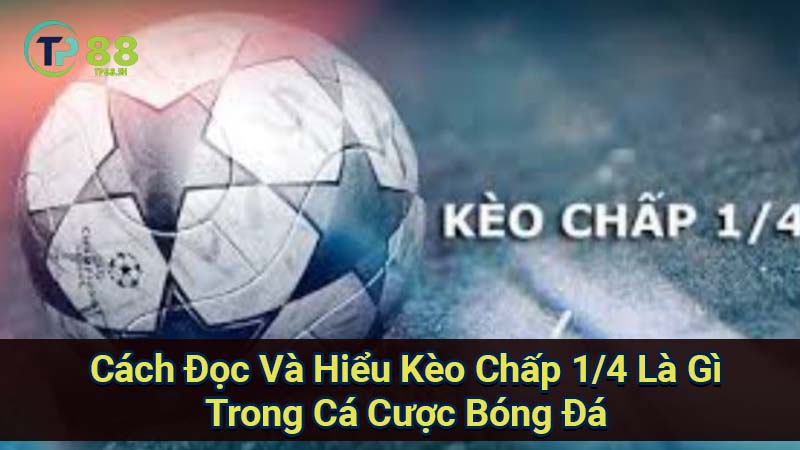 Kèo Chấp 1/4 là gì? Giải thích chi tiết 3 cach-doc-va-hieu-keo-chap-1-4-la-gi-trong-ca-cuoc-bong-da