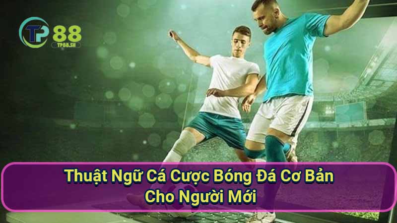 Thuật Ngữ Cá Cược Bóng Đá Cơ Bản Cho Người Mới 6 thuat-ngu-ca-cuoc-bong-da