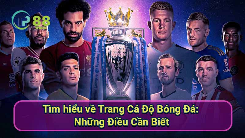 Trang Cá Độ Bóng Đá An Toàn & Uy Tín Nhất 2 tim-hieu-ve-trang-ca-do-bong-da:-nhung-dieu-can-biet