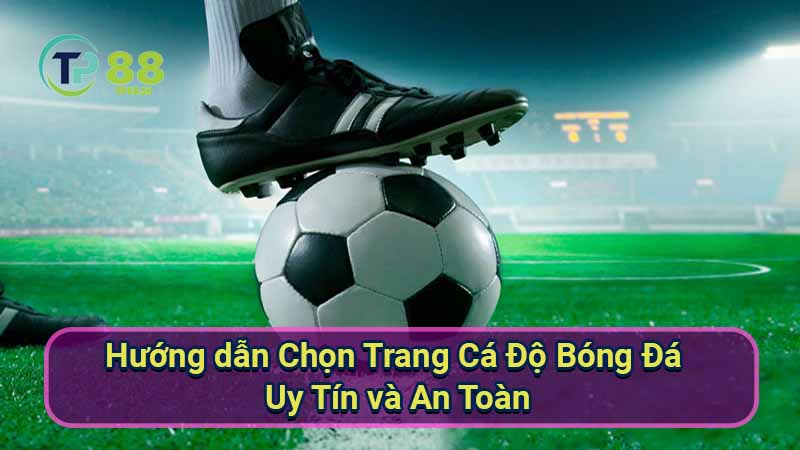 Trang Cá Độ Bóng Đá An Toàn & Uy Tín Nhất 3 huong-dan-chon-trang-ca-do-bong-da-uy-tin-va-an-toan