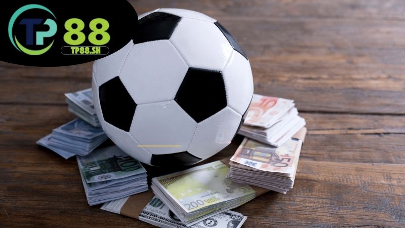 Giới thiệu cá độ bóng đá TP88