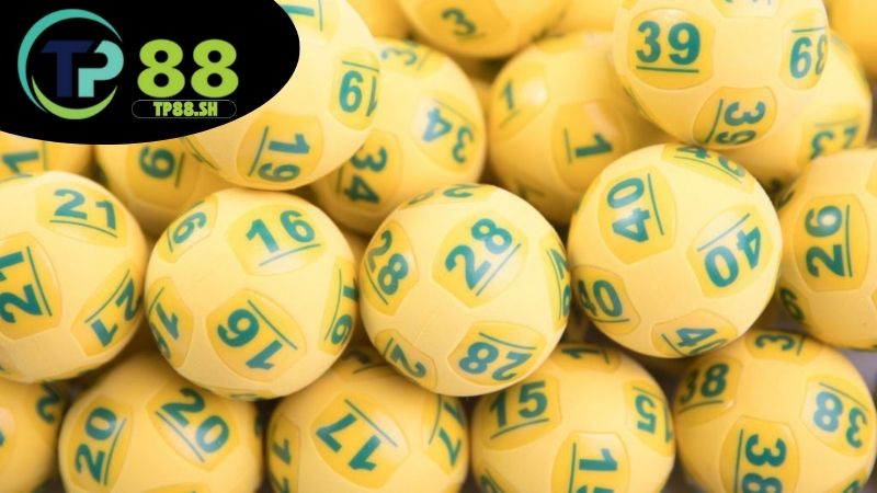 Dự đoán xổ số TP88 - Tham khảo số đẹp tăng cơ hội trúng 2 Giới thiệu dự đoán xổ số TP88