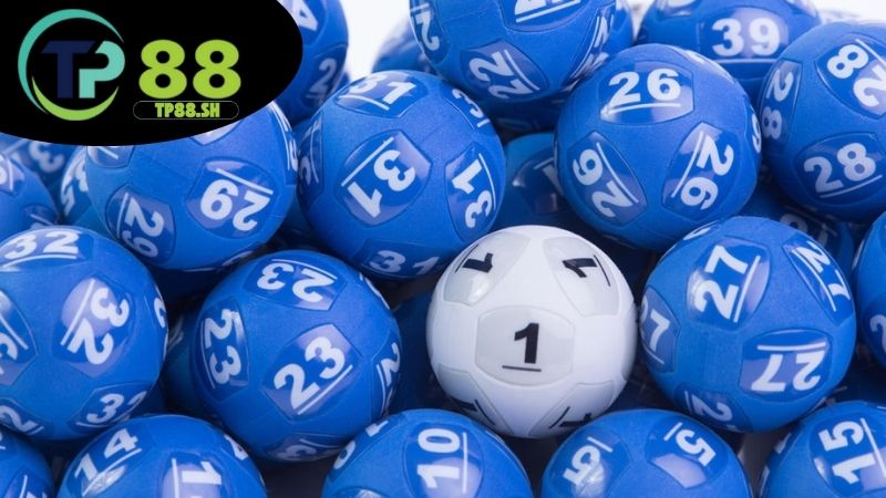 Kết quả xổ số TP88 - Tra cứu nhanh, trúng thưởng dễ dàng 2 Giới thiệu kết quả xổ số TP88