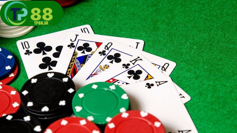 Nhà cái Winvn giao diện đẹp, chơi mượt mọi lúc.