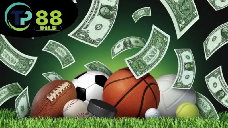 Soi kèo bóng đá TP88 - Nhận định chuẩn xác tăng tỷ lệ thắng 2 Giới thiệu soi kèo bóng đá TP88