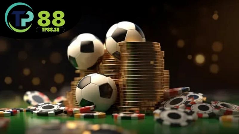 Soi kèo bóng đá TP88 - Nhận định chuẩn xác tăng tỷ lệ thắng 3 Ưu điểm soi kèo tại TP88