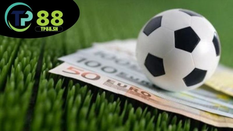 Soi kèo bóng đá TP88 - Nhận định chuẩn xác tăng tỷ lệ thắng 4 Kinh nghiệm soi kèo hiệu quả