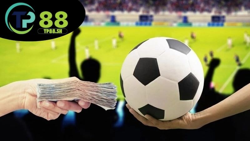 Soi kèo bóng đá TP88 - Nhận định chuẩn xác tăng tỷ lệ thắng 1 soi-keo-bong-da-tp88